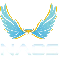 玩家面临,年漫长等待,内存危机下,千亿体育,千亿体育官网,千亿体育官方,千亿体育下载