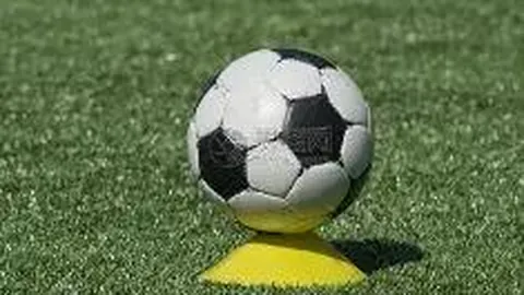 【火箭对决灰熊，精准预测：6中4精华解析，谁能锁定胜利之门？】